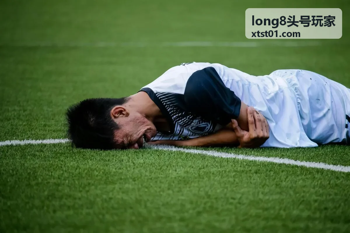 long8头号玩家方案洞察