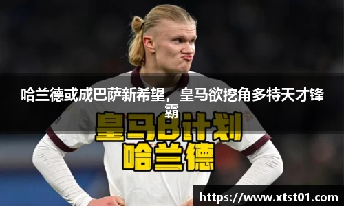 欧博abg官网